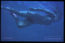 Photo of a woman swimming
under water.